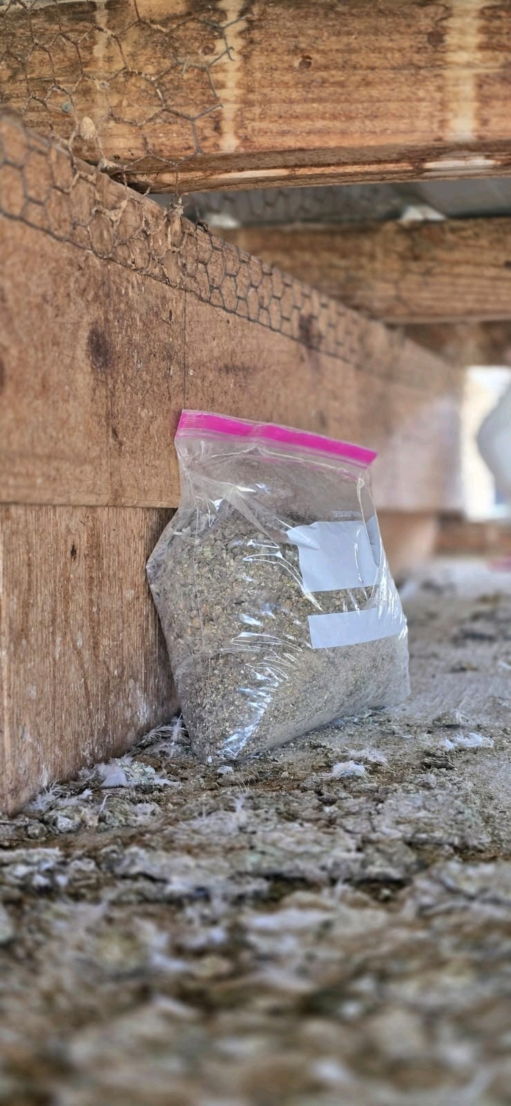 Pigeon Poop. (ORIGINAL) Bird Guano Fertilizer 100% Organic No Gluten No Fat 1 LB