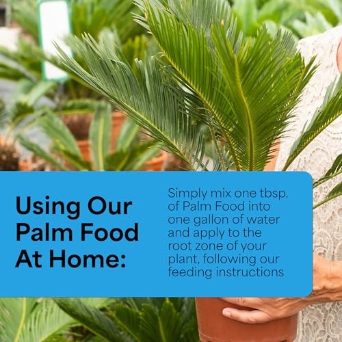 Grow More 5107 Soluble Palm Food 15-5-15, 1.5-Pound