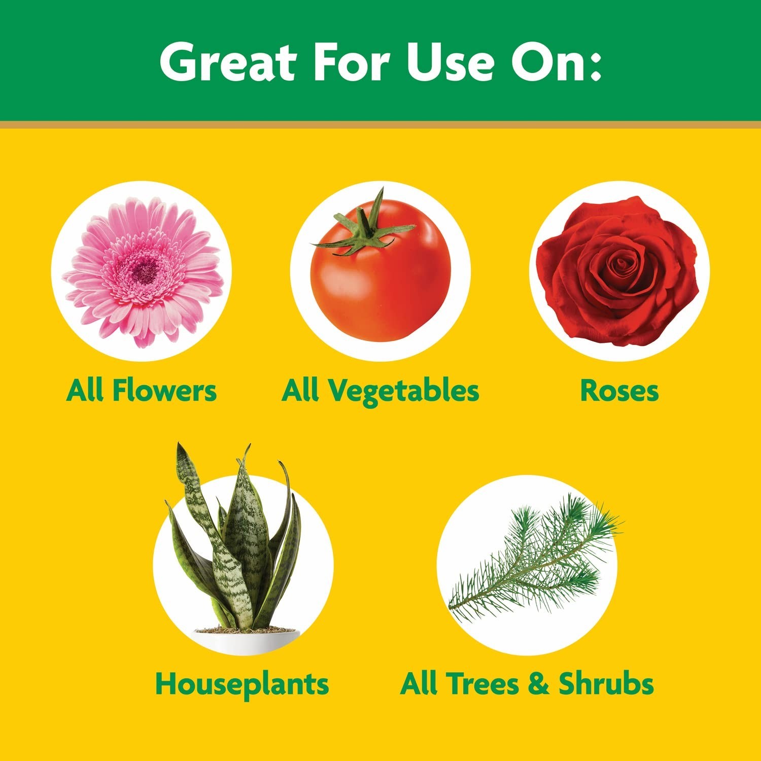 Water Soluble All Purpose Plant Food, 10 lb. | Fertilizer For All Indoor or O…