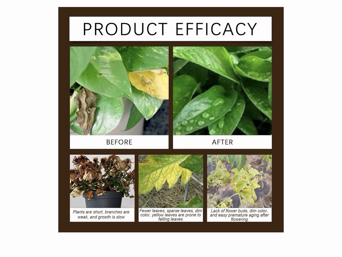 5 Pack Soil Activator for Plants Mineral Source 60g Fertilization Solution