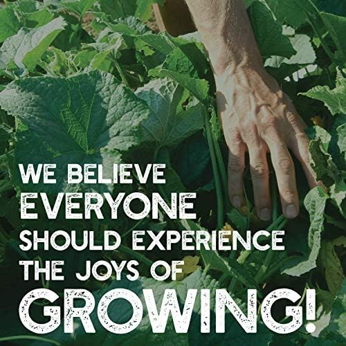 Premium Clover Seed Blend – 1 Lb, 179,200 Seeds – Red, White & Crimson – Soil En