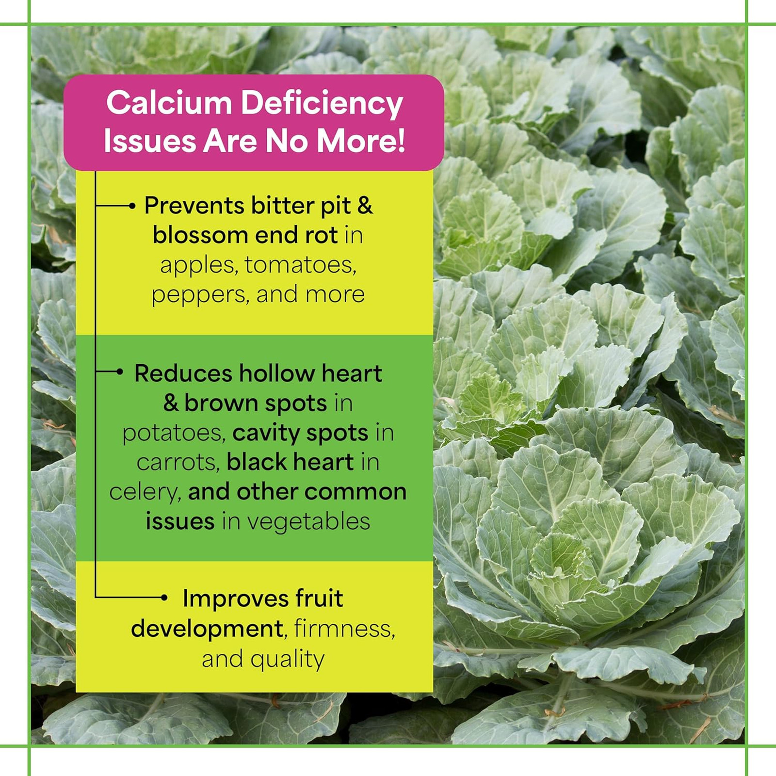 Garden Fertilizers