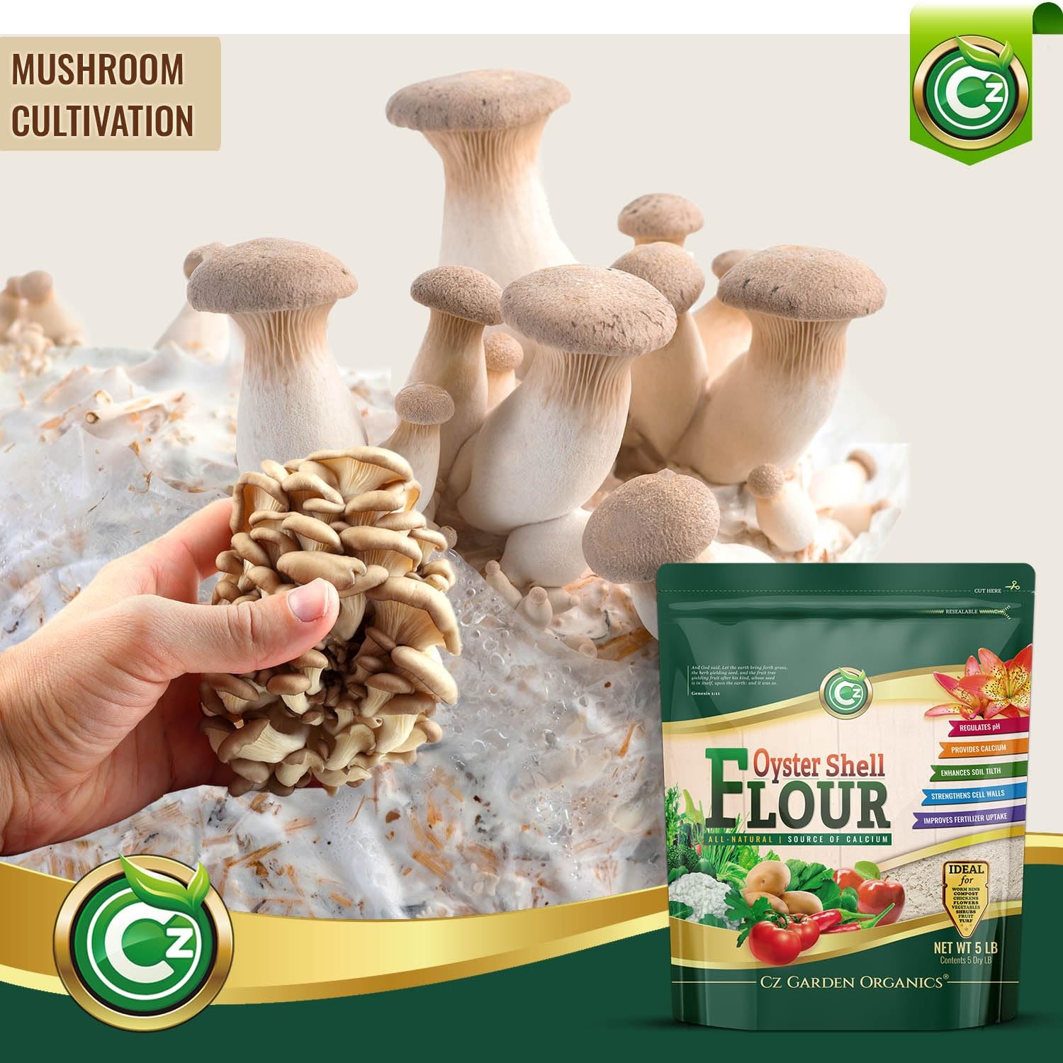 Oyster Shell Flour 5LB – Made in USA – OMRI Listed – Soil Amendment…