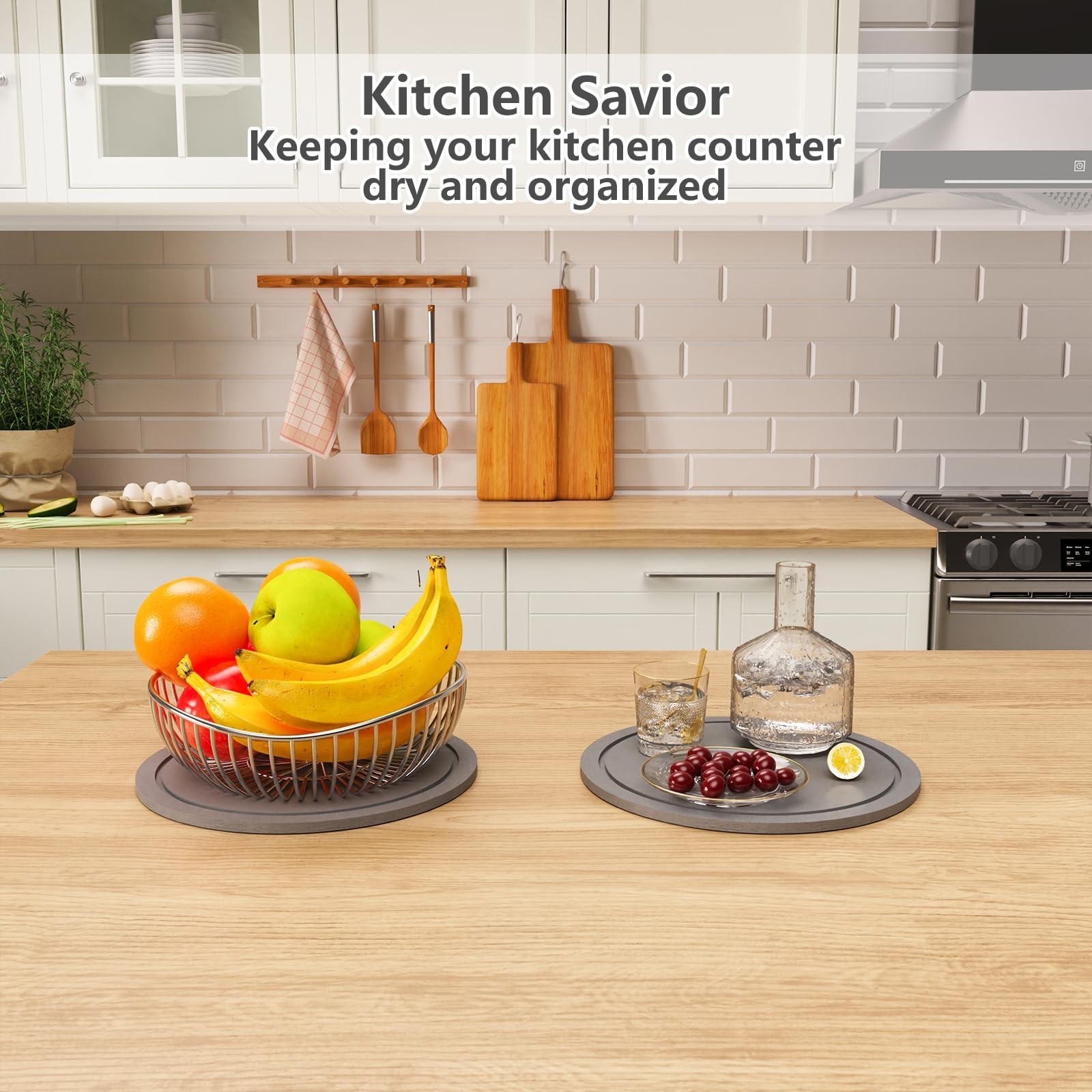 Plant Saucer for Indoors, 2 Pack 10 Inch, Instantly Dry Diatomaceous Earth Pl…