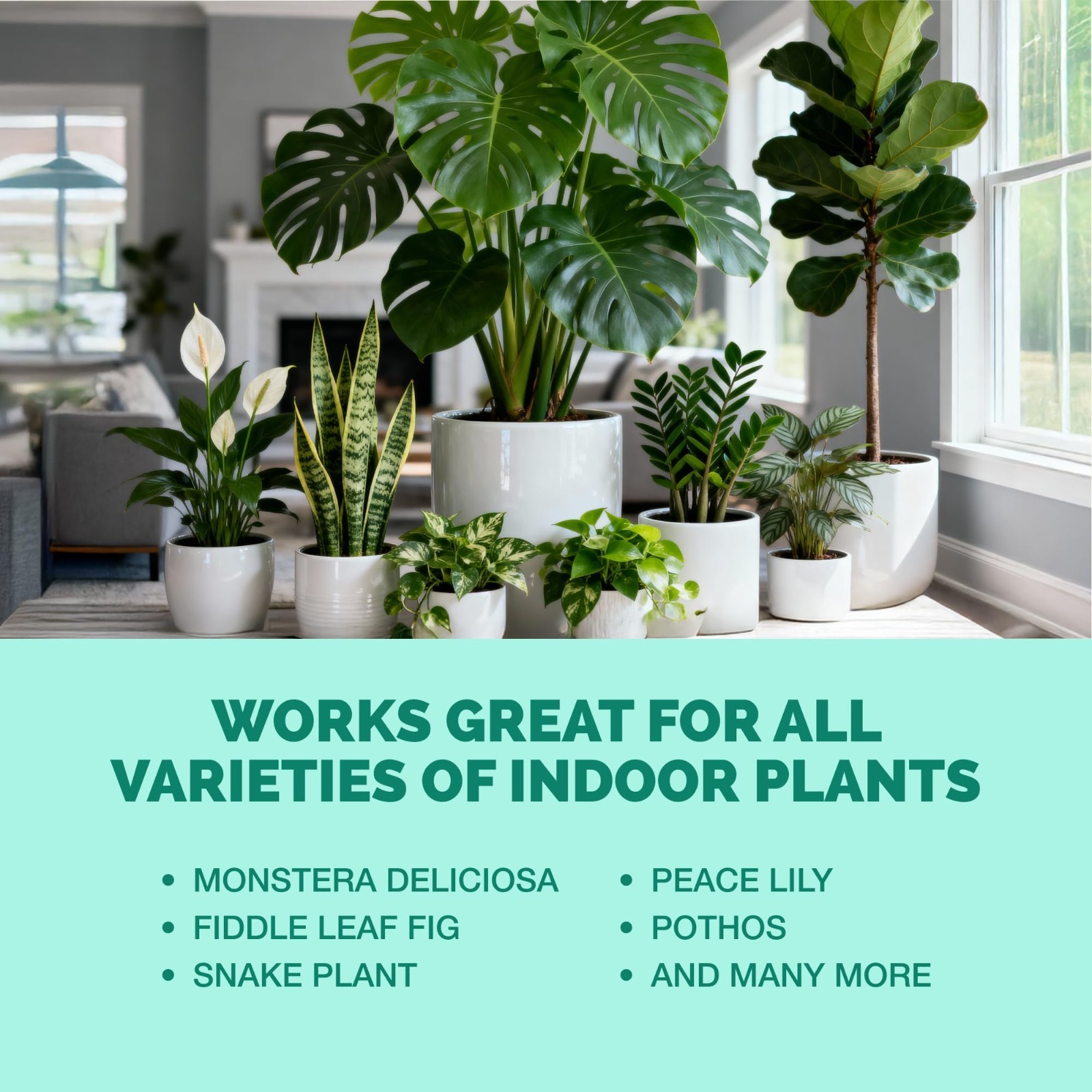 Complete Liquid Fertilizer for Indoor Plants – 1 Gallon, Kelp-Enriched, Promotes
