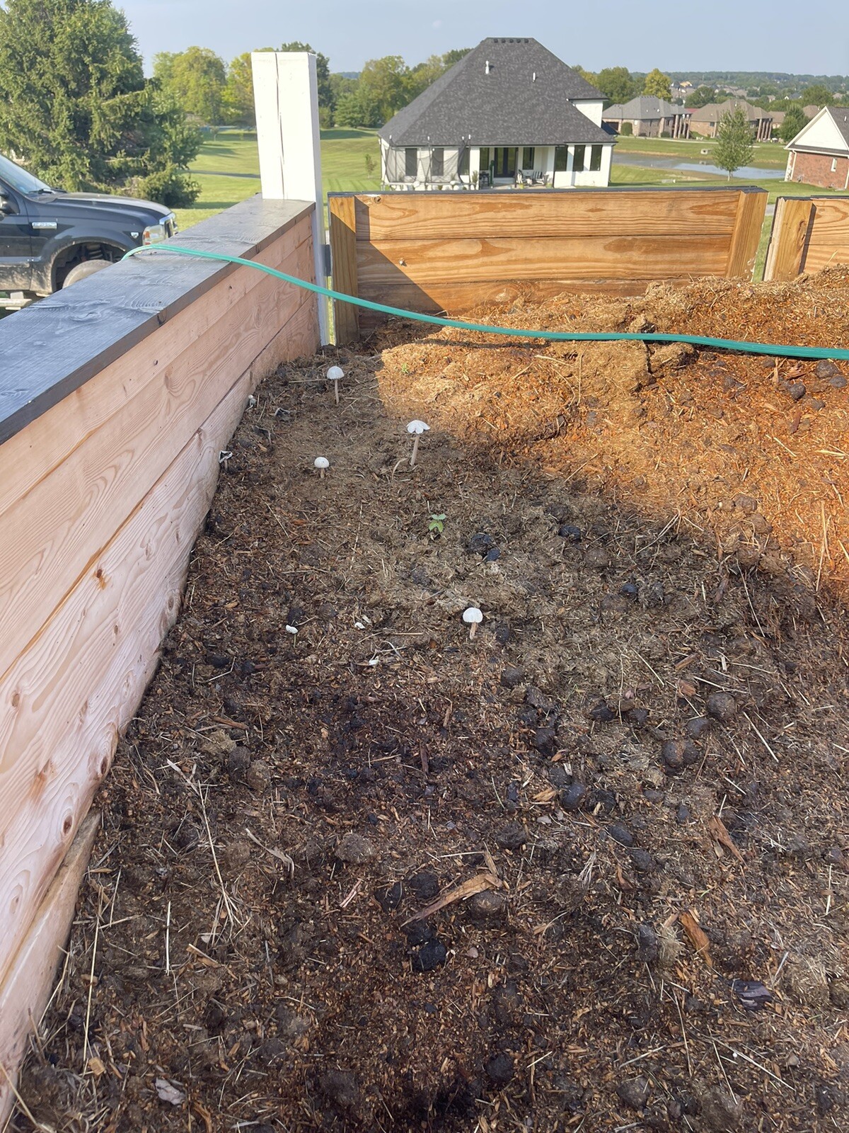 compost – horse manure/soft wood shavings – mature aged ready to use – tested