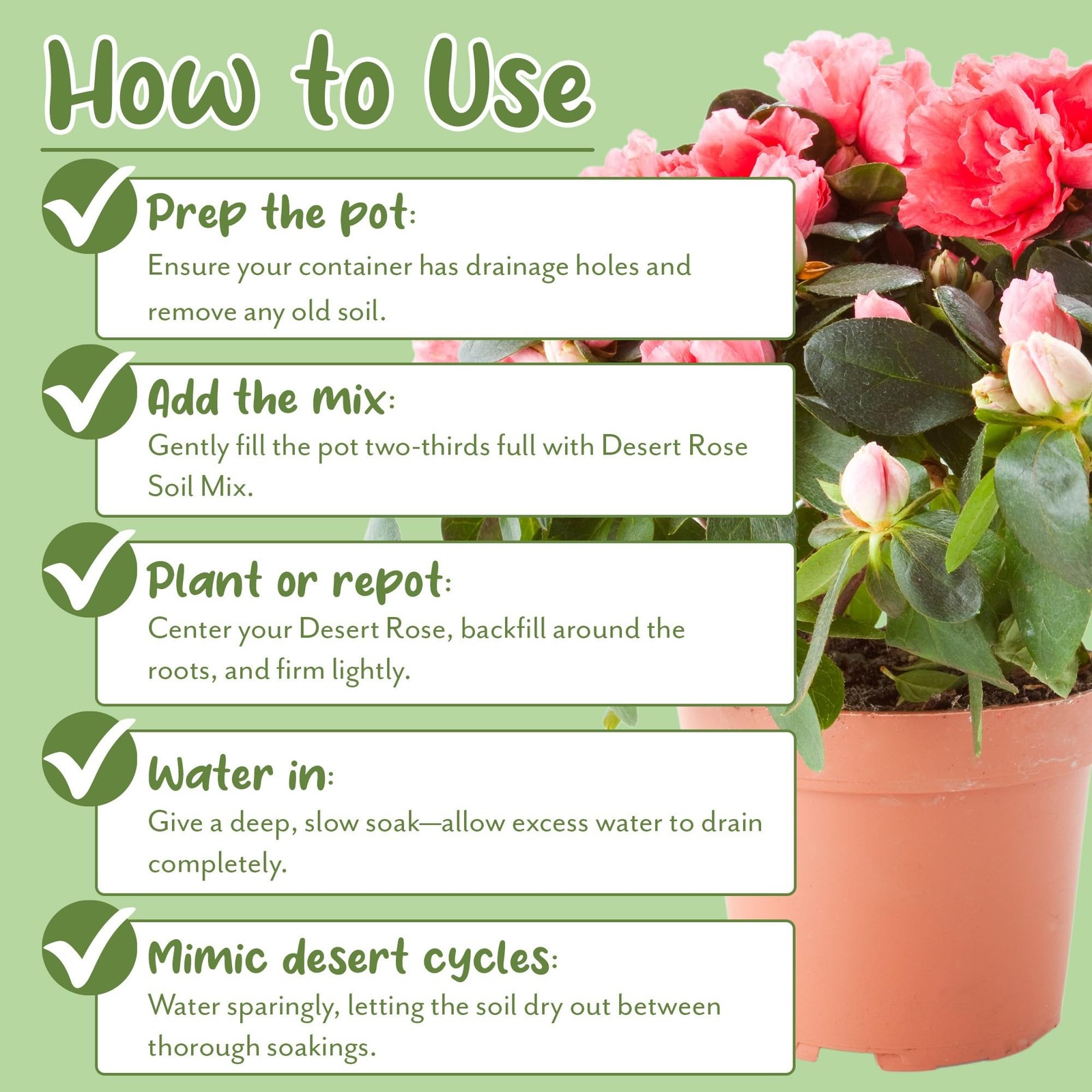 Soil Sunrise Desert Rose Potting Soil Mix (8 Quarts) Hand Blended Small Batch…