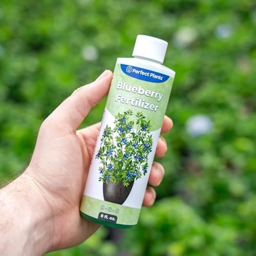 Liquid Blueberry Fertilizer by Perfect Plants | Berry Booster | Premium Ferti…