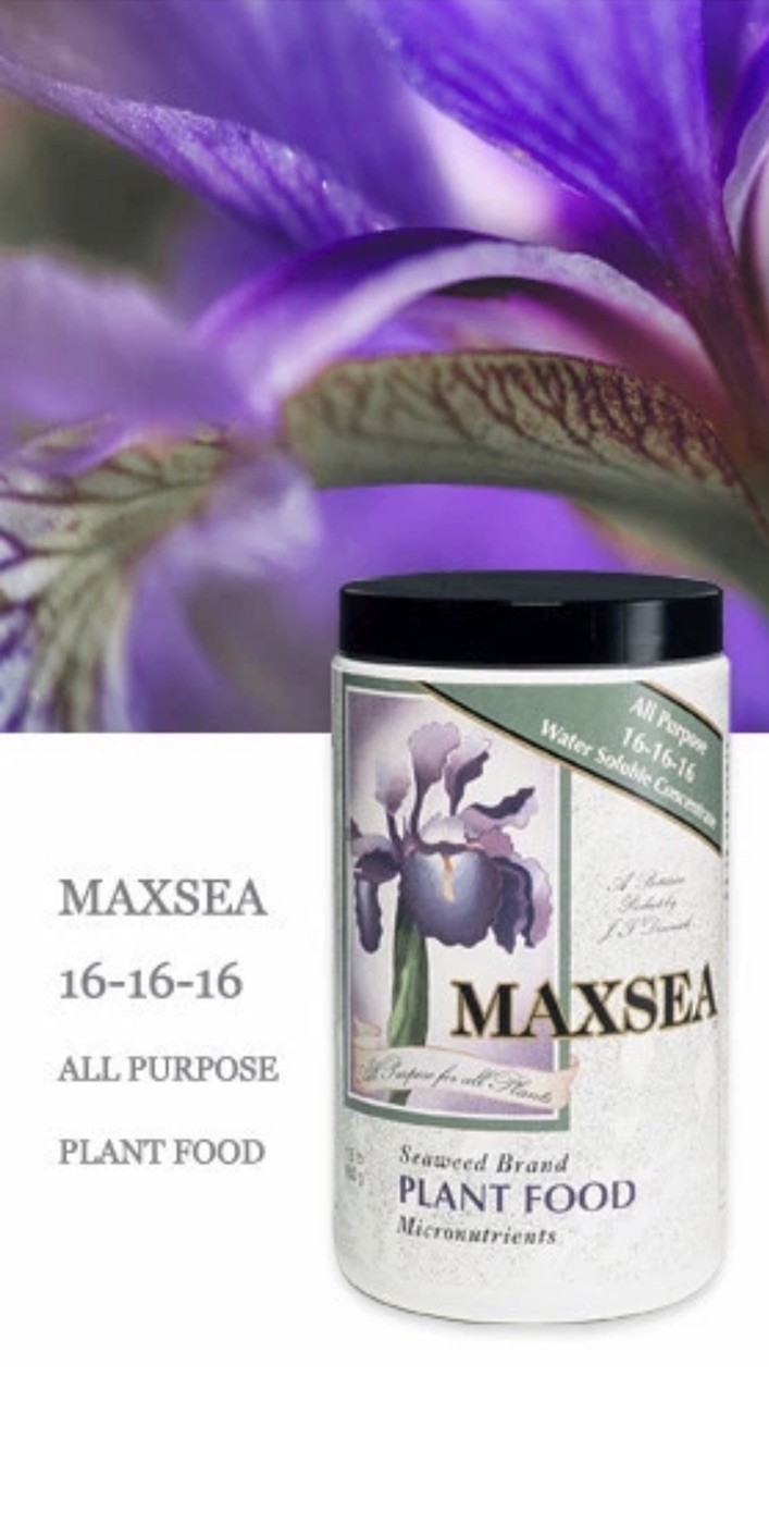 Maxsea All Purpose 16-16-16 Plant Food 1.5 lbs water soluble seaweed fertilizer