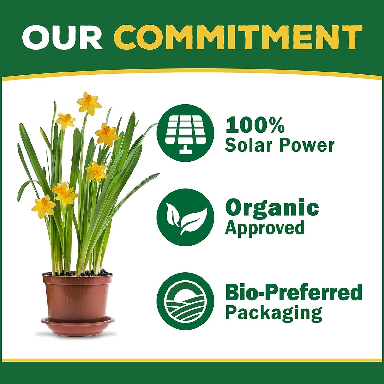 Espoma BTSP8 Organic 4-3-3 BioTone Starter Plus Fertilizer, 8 lb, 4 Pack