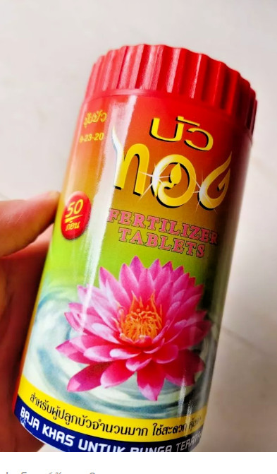 Lotus Fertilizer Aquatic Plants Nutrient Boost Flower Color Growth 50 Tabs x 2