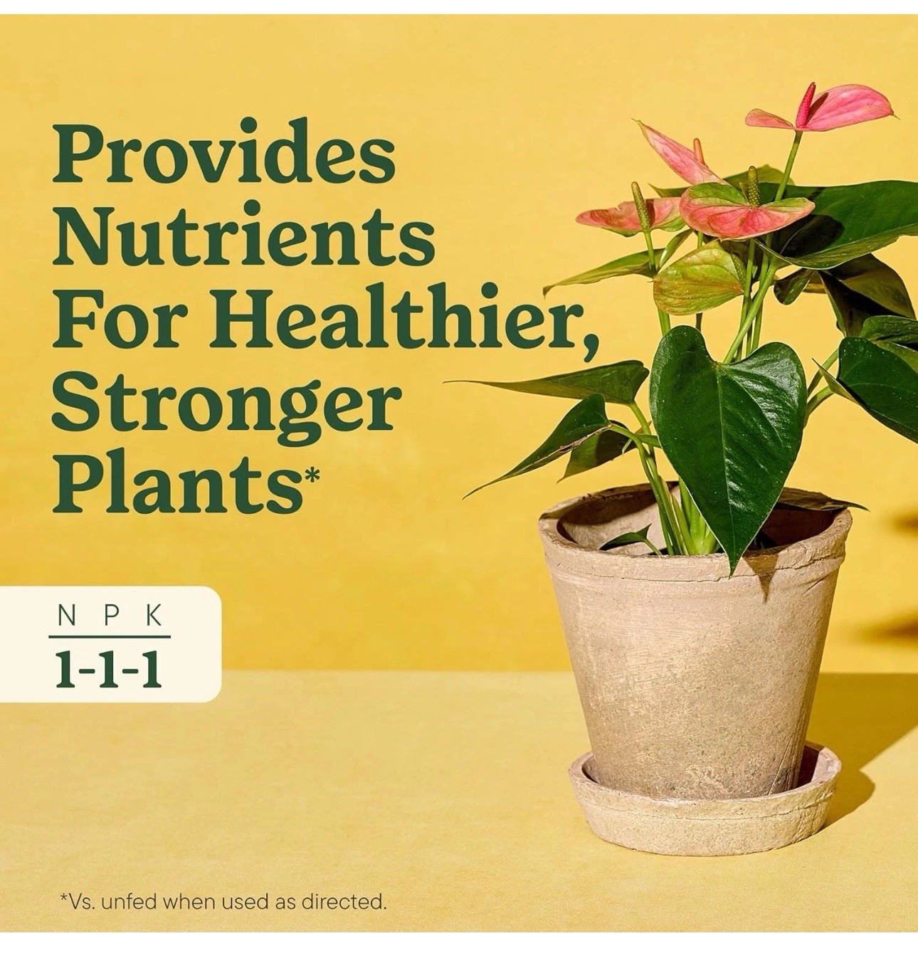 Indoor Plant Food for All Plants 8 Fl. Oz., 2-Pack
