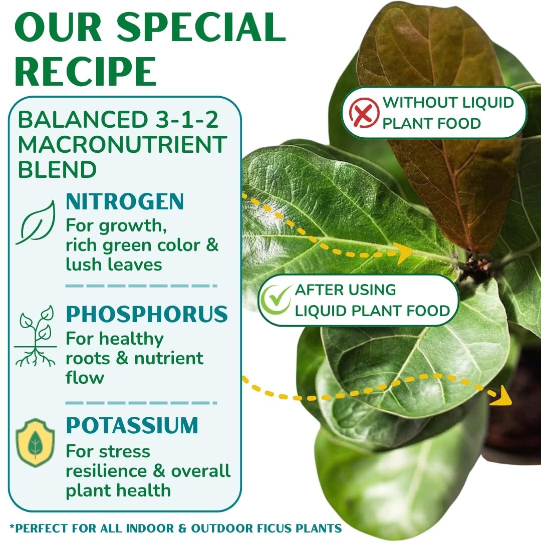 Balanced NPK Liquid Fertilizer for Fiddle Leaf Fig & Ficus – 8 oz, Stronger Root