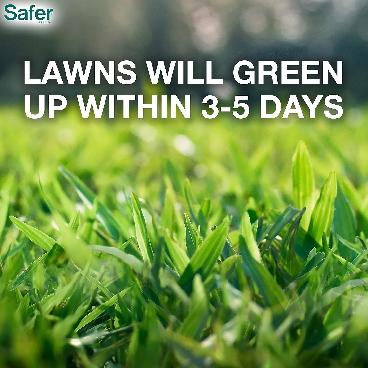 Lawn Restore 20 lb Granular Fertilizer – Safe for Kids & Pets, 9-0-2 NPK Formula