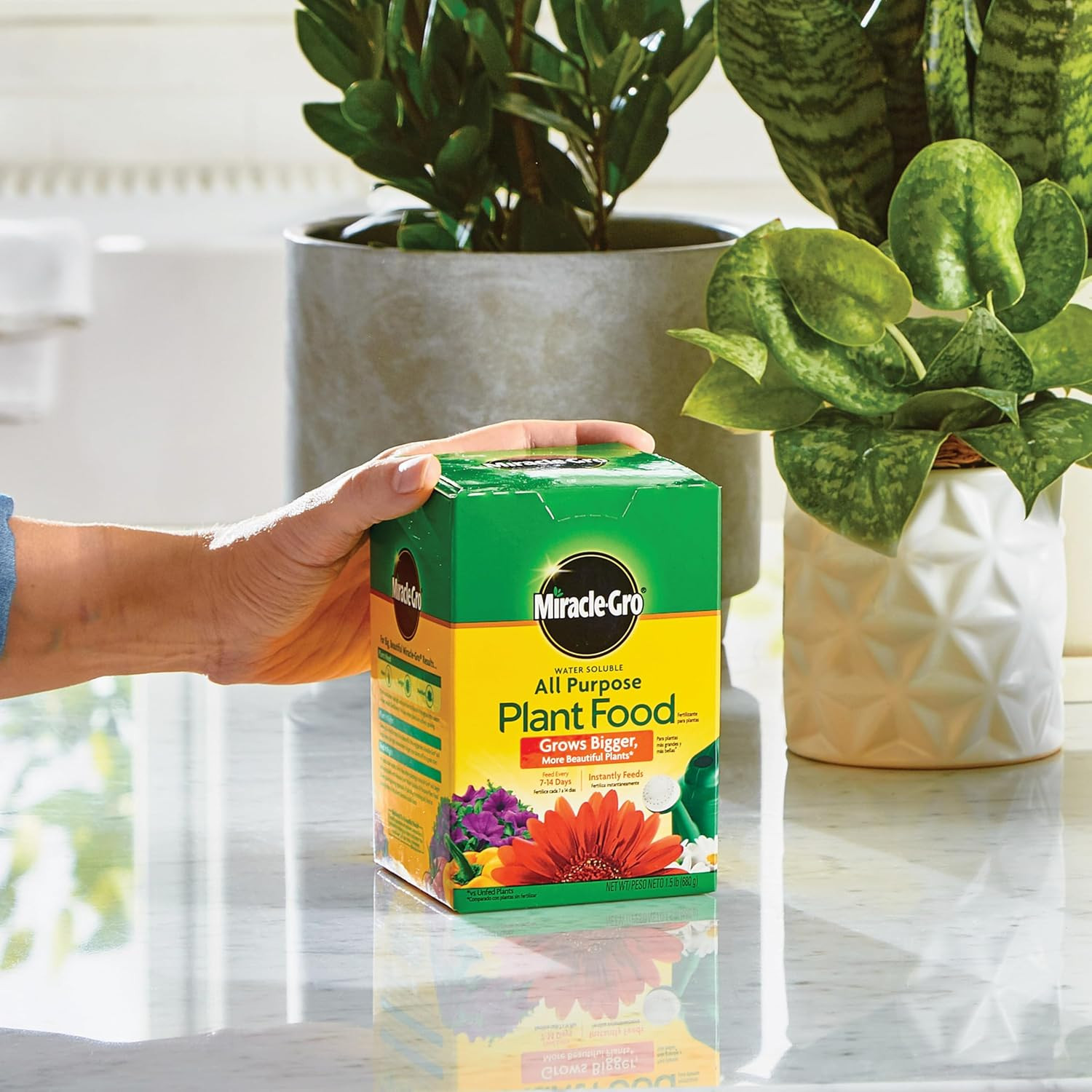 Miracle-Gro Water Soluble All Purpose Plant Food – Fertilizer for All Indoor