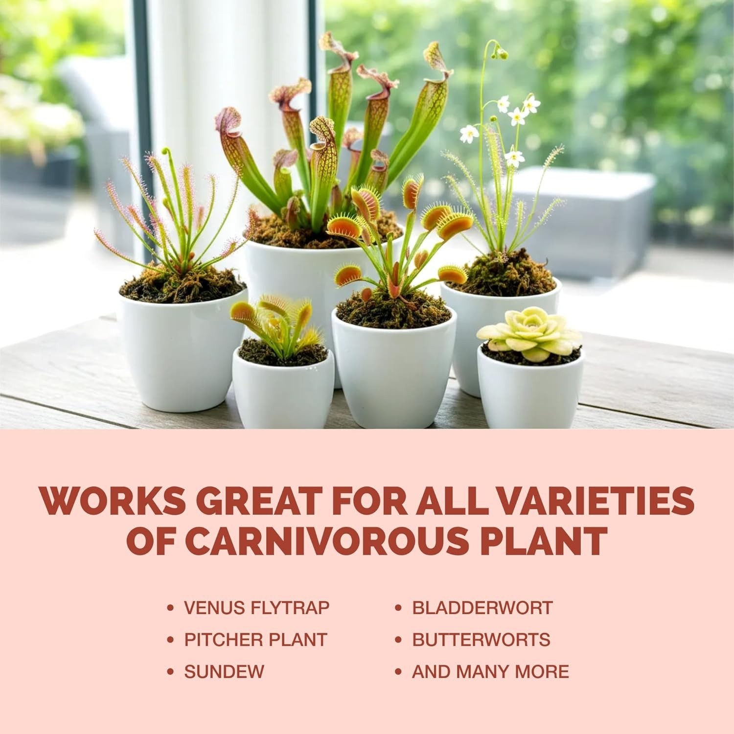 Carnivorous Plant Fertilizer Liquid 8 oz for Healthy Traps