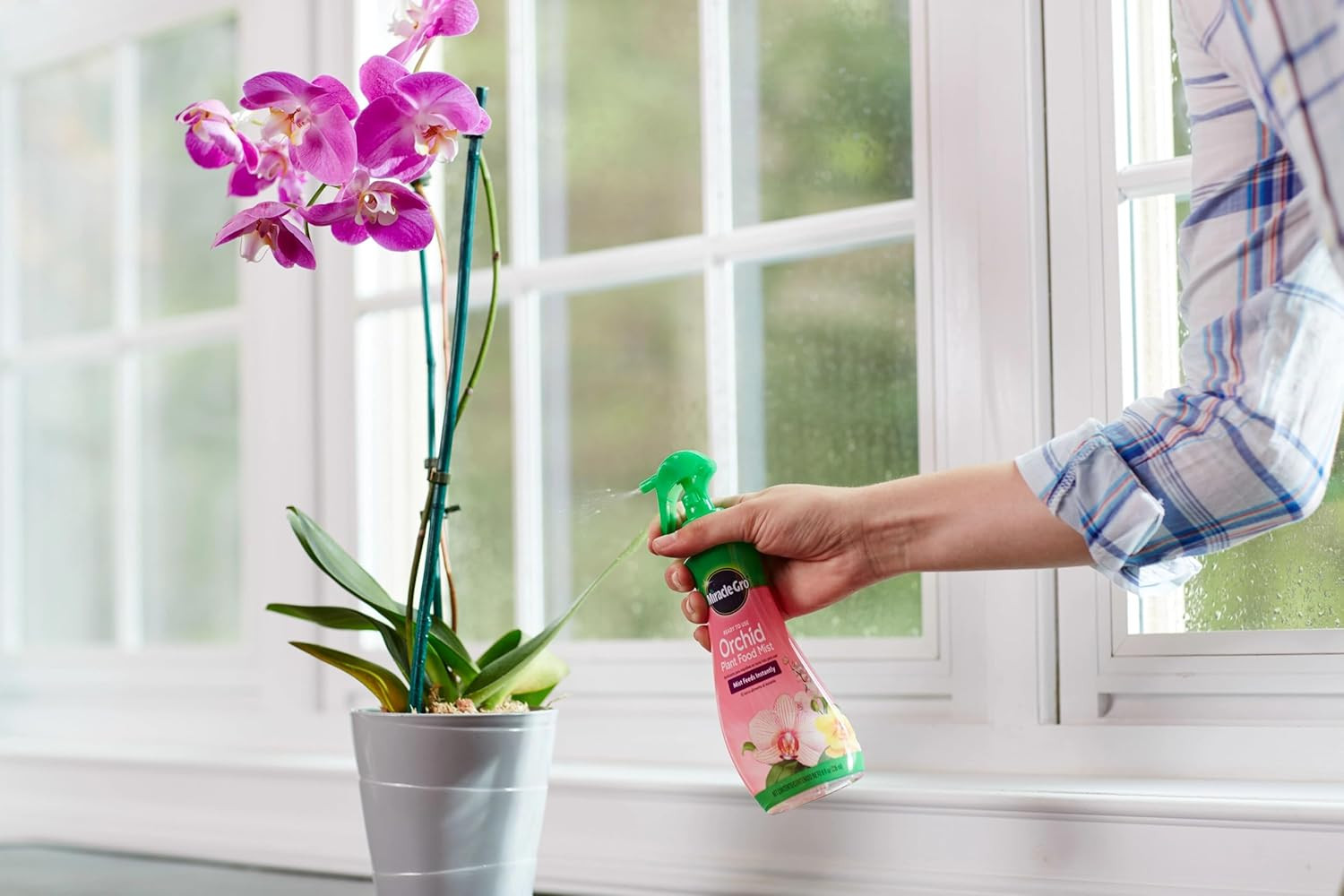Miracle-Gro Ready-To-Use Orchid Plant Food Mist – Fertilizer Mist for Indoor Blo