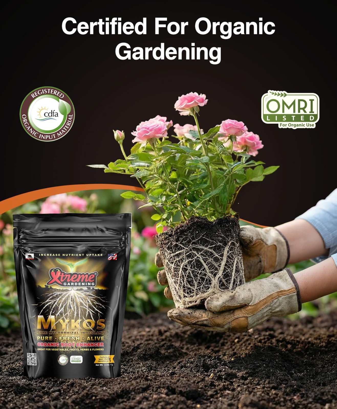 Organic Mycorrhizal Fungi Granules – Root Inoculant for Stronger Plants, 2.2 lbs