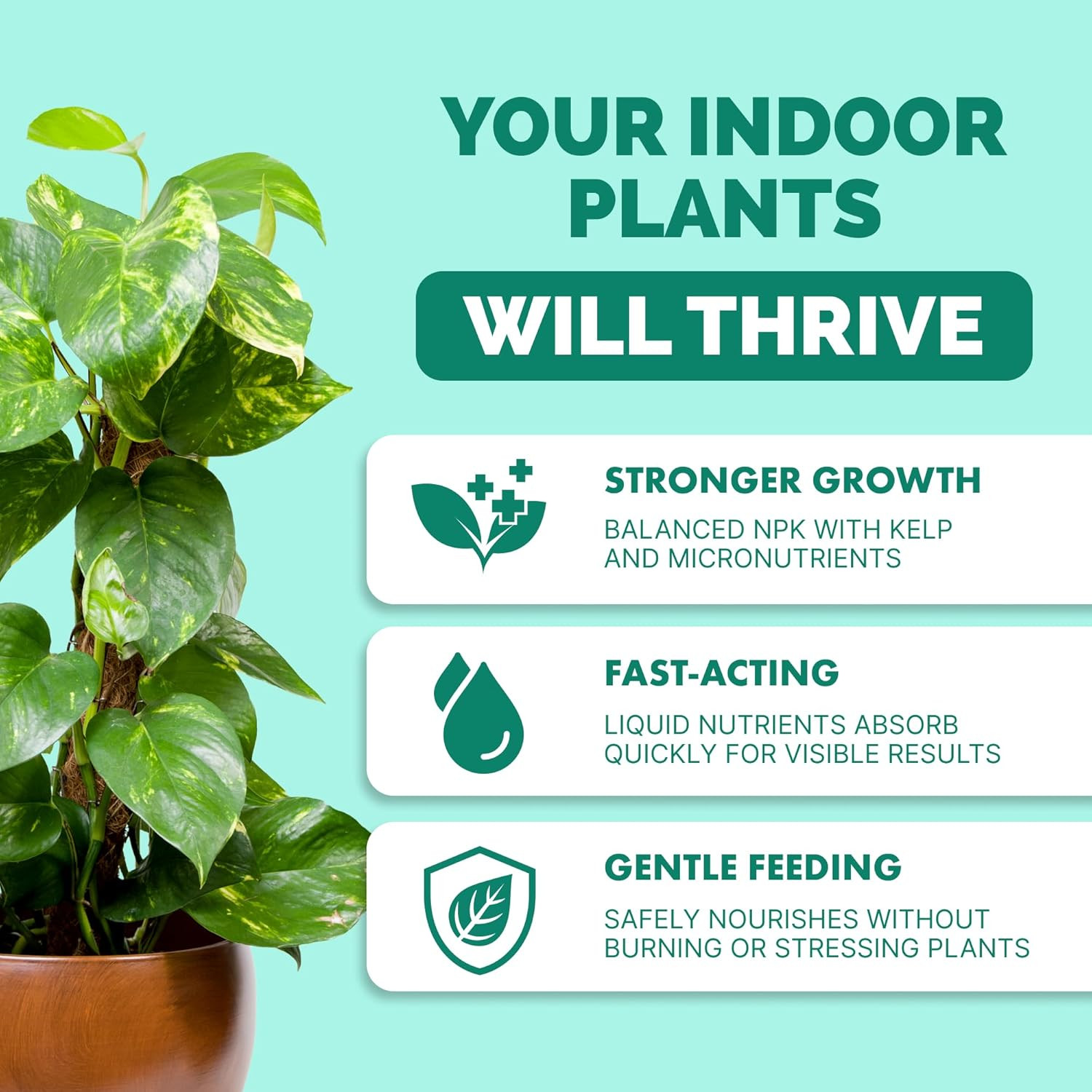 Indoor Plant Food – Liquid Fertilizer for Houseplants, New Growth, Greener Leave