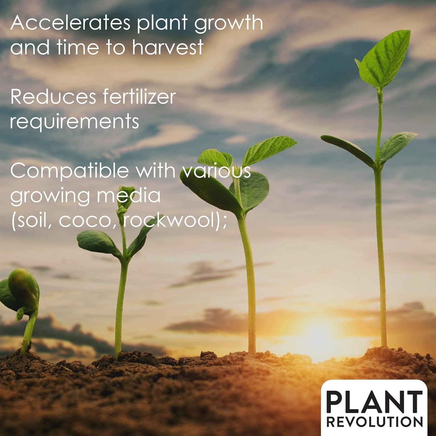 Organic Soluble Fertilizer with Mycorrhizae – 0.5 oz for Luxurious Plant Growth