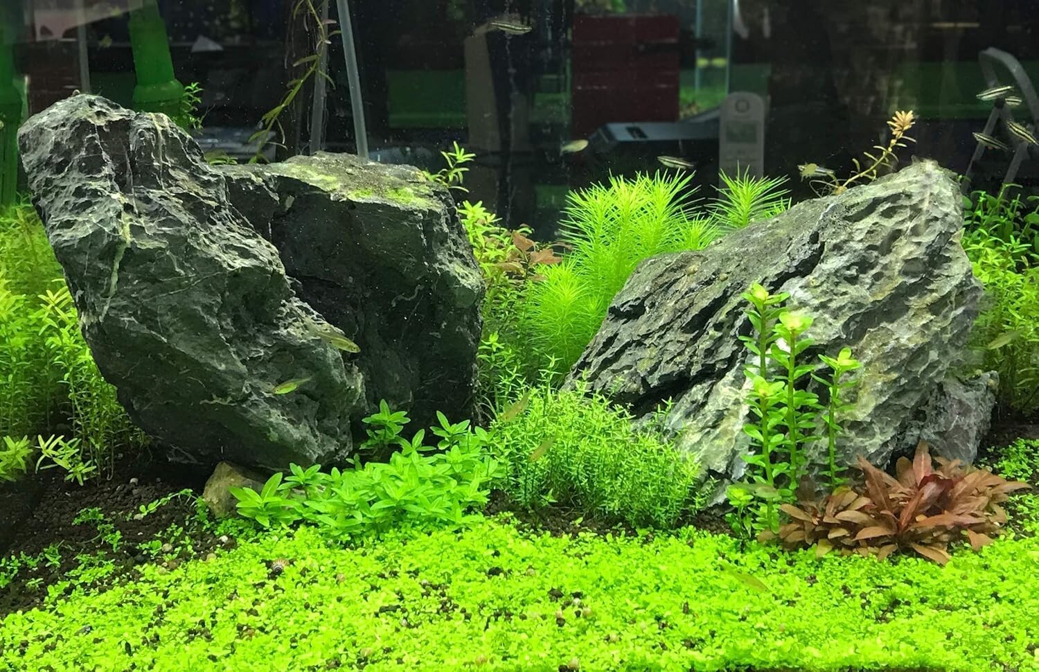 Flourish Tabs 40 ct – Time-Released Nutrient Tablets for Aquatic Plant Care