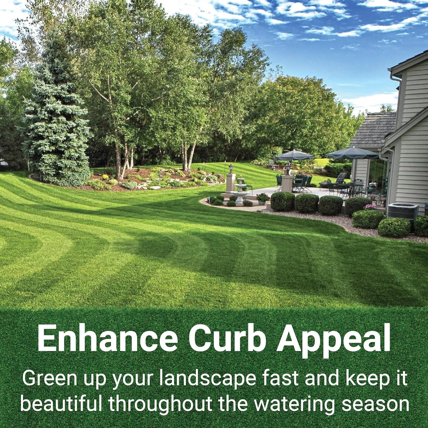 American Hydro Systems Grasssogreen Maintenance Formula, Grass and Landscape Fer