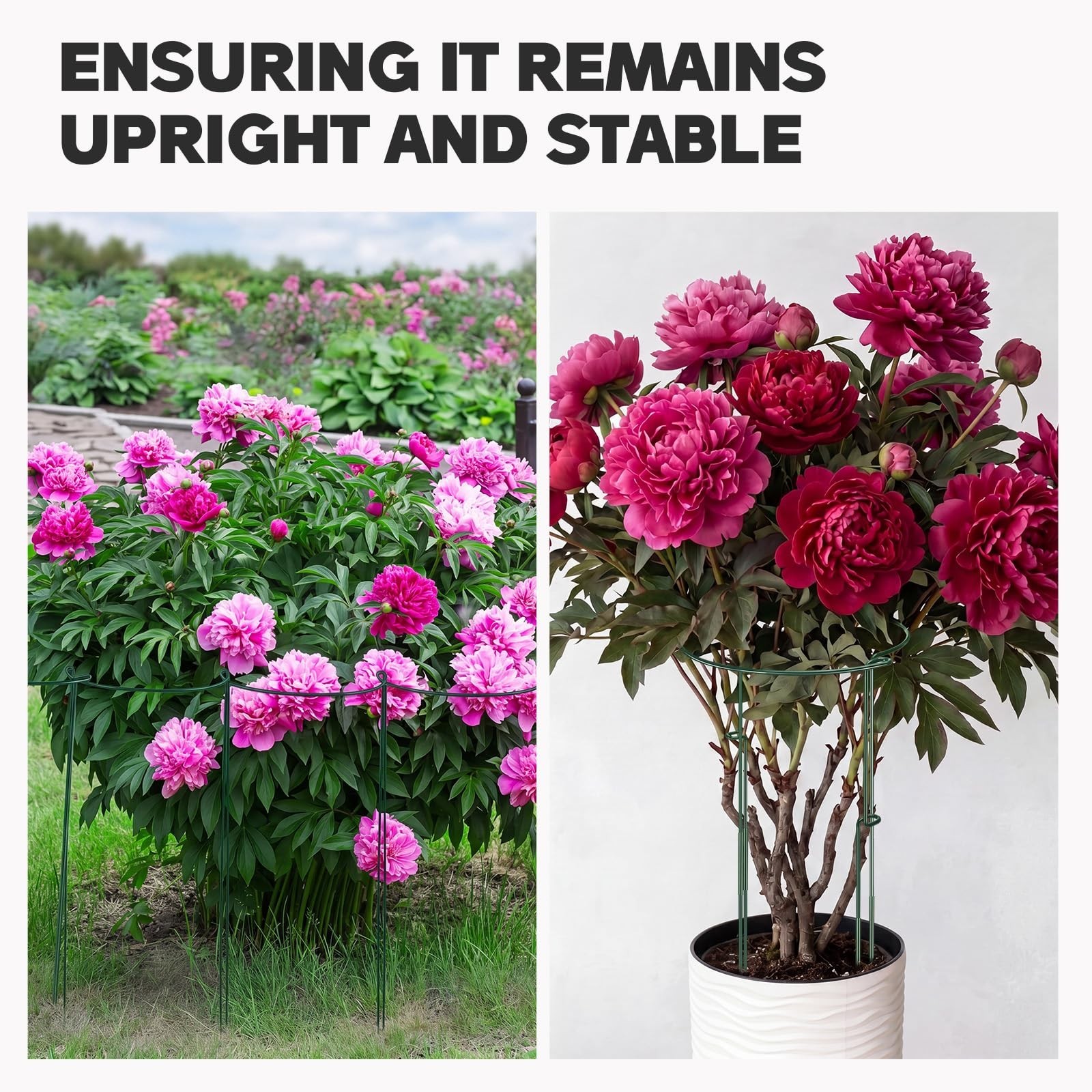 Menkxi 16 Pack Plant Support Stakes 30″ H x 11.5″ W Half Round Peony Cages an…