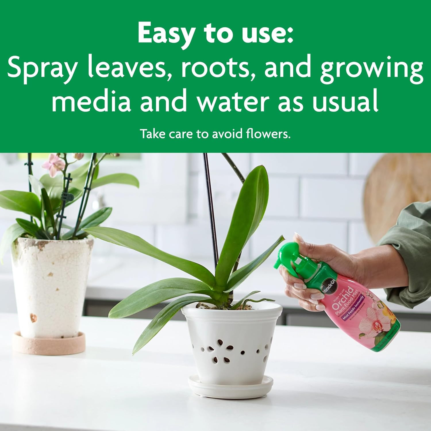 Miracle-Gro Ready to Use Orchid Plant Food Mist, Indoor Orchid Plants, 8 Oz, 3-P