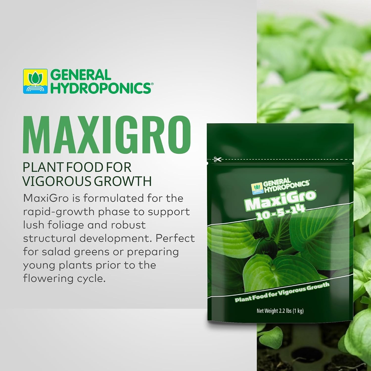 MaxiGro Plant Food for Vigorous Growth, 2.2 lbs.
