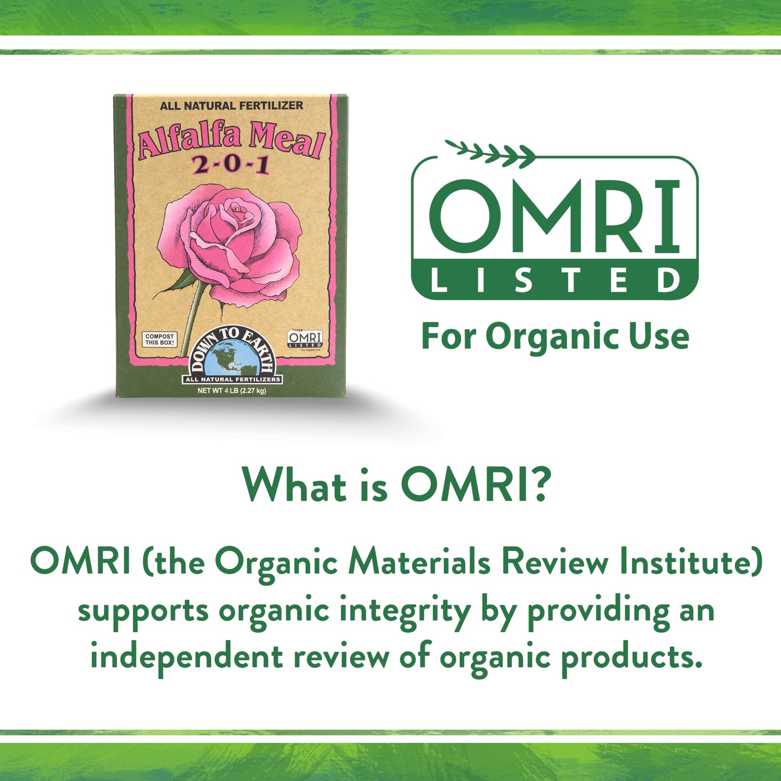 Organic Alfalfa Meal – Plant Food for Roses, Bulbs, Flowers and Ornamentals 2…
