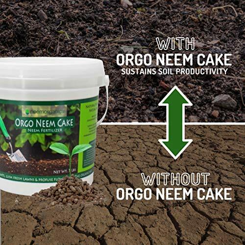 Orgo Neem Cake | 100% Organic Fertilizer for Outdoor Plants, Lawn 5 lbs