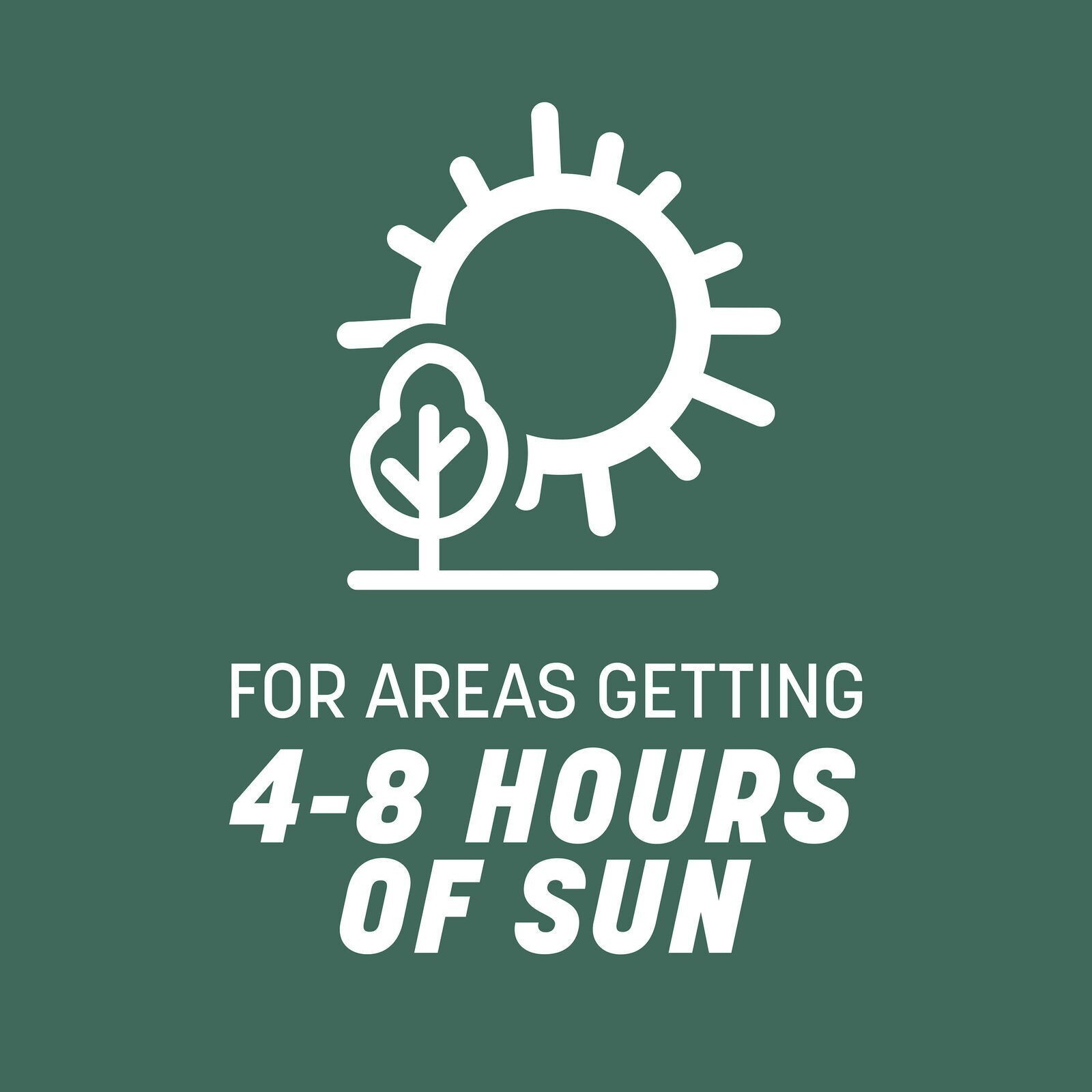 31 Tall Fescue Grass Seed for Sun to Partial Shade 20 lb Covers 4,000 sq. ft.