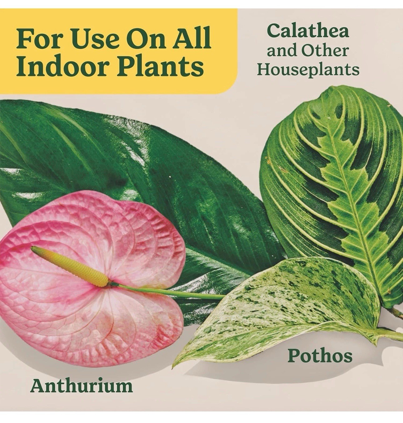 Indoor Plant Food for All Plants 8 Fl. Oz., 2-Pack