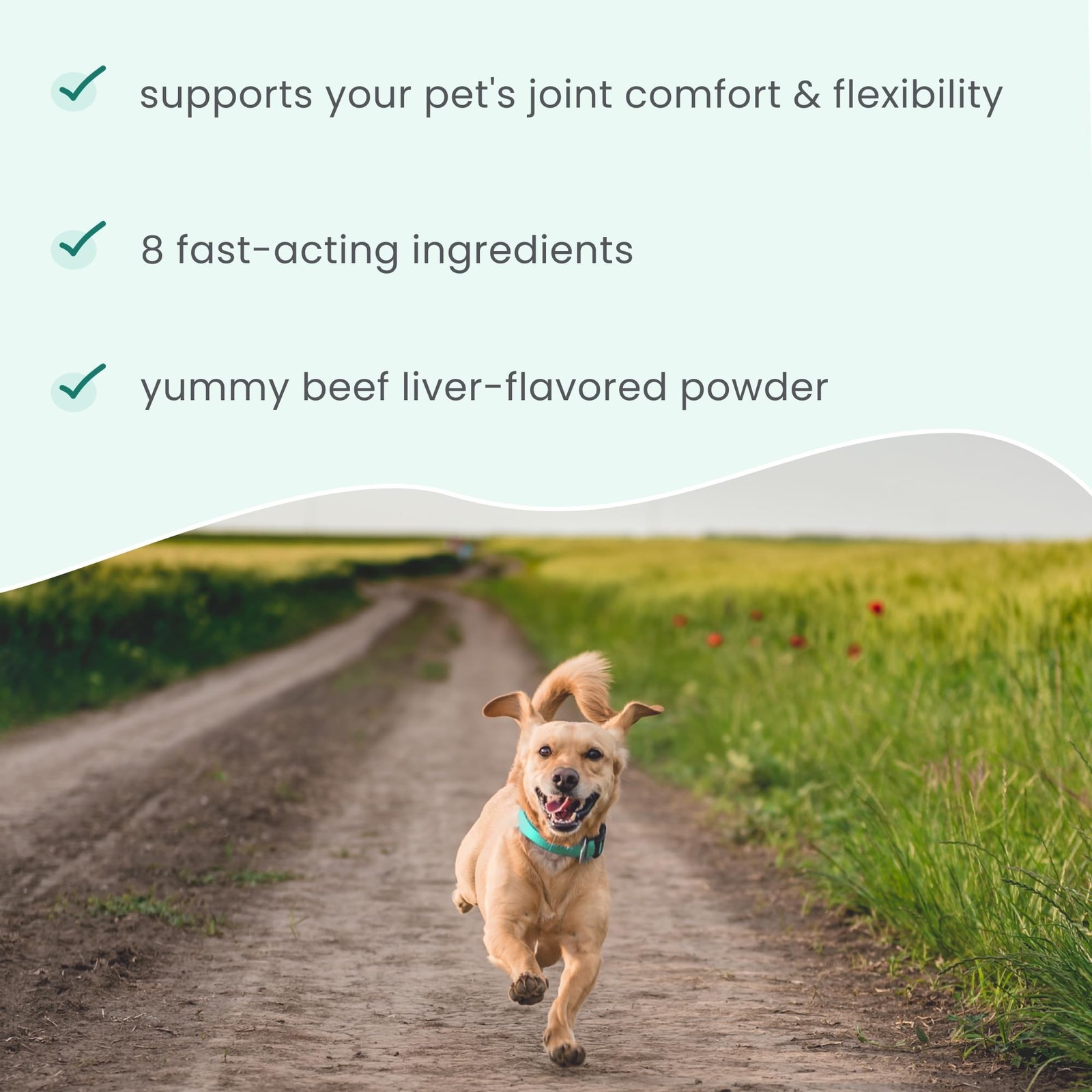 Bark & Whiskers Joint Support for Dogs & Cats, 1.69 Oz. (48 g), Col… Fast Ship