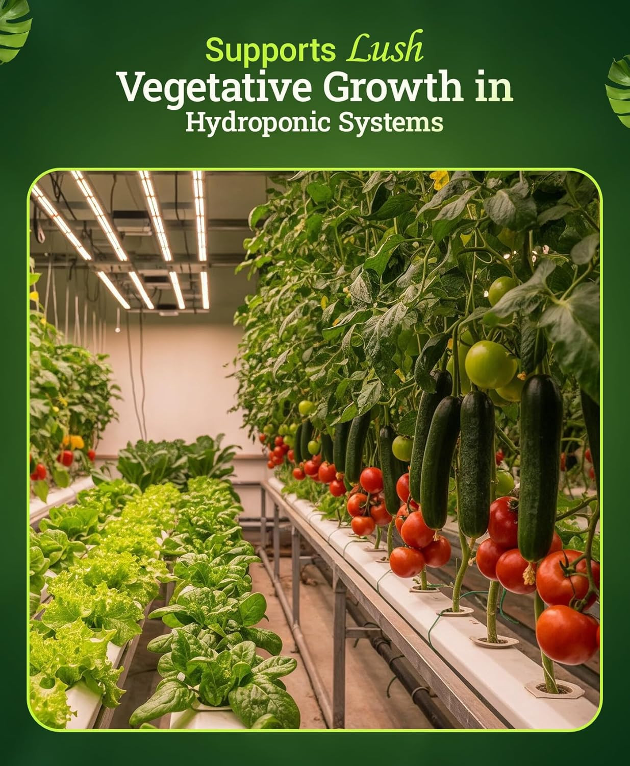 Grow Big Hydroponic Plant Food – 3-2-6 Liquid Plant Fertilizer for Lush Vegetati
