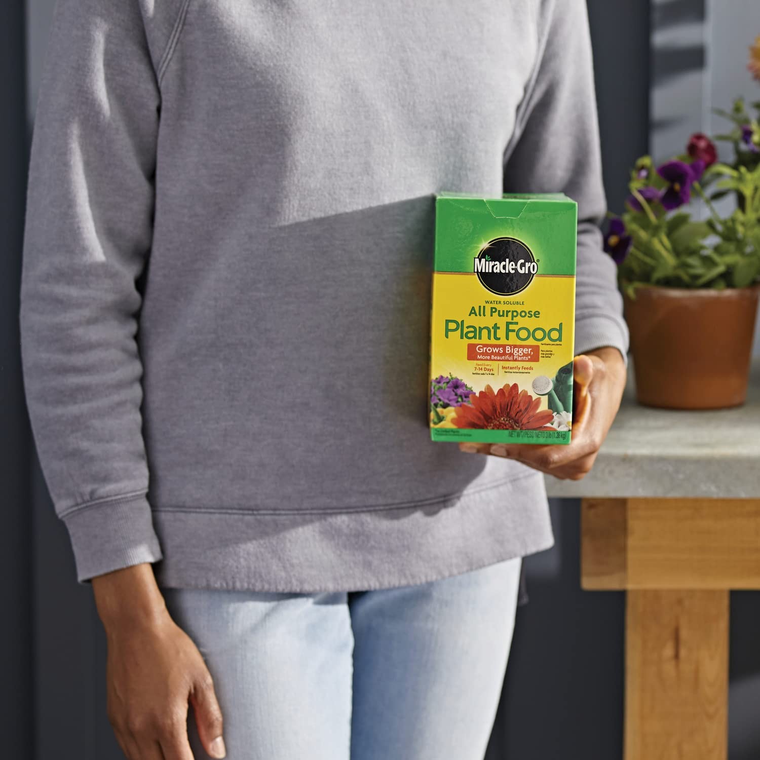 Miracle-Gro Water Soluble All Purpose Plant Food – Fertilizer For All Indoor or