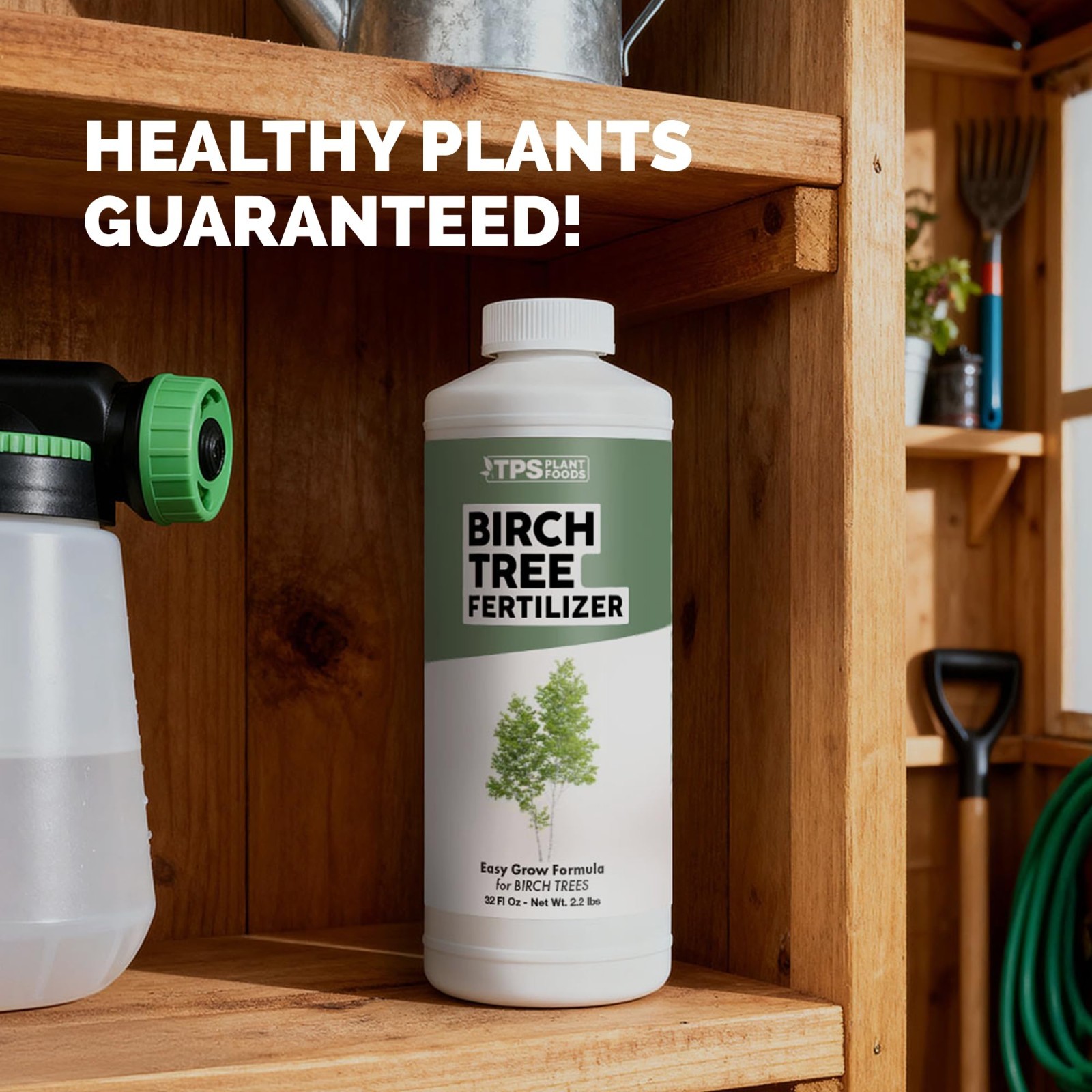 Liquid Fertilizer for Birch Trees – Plant Food for Healthy Leaves & Strong Roots