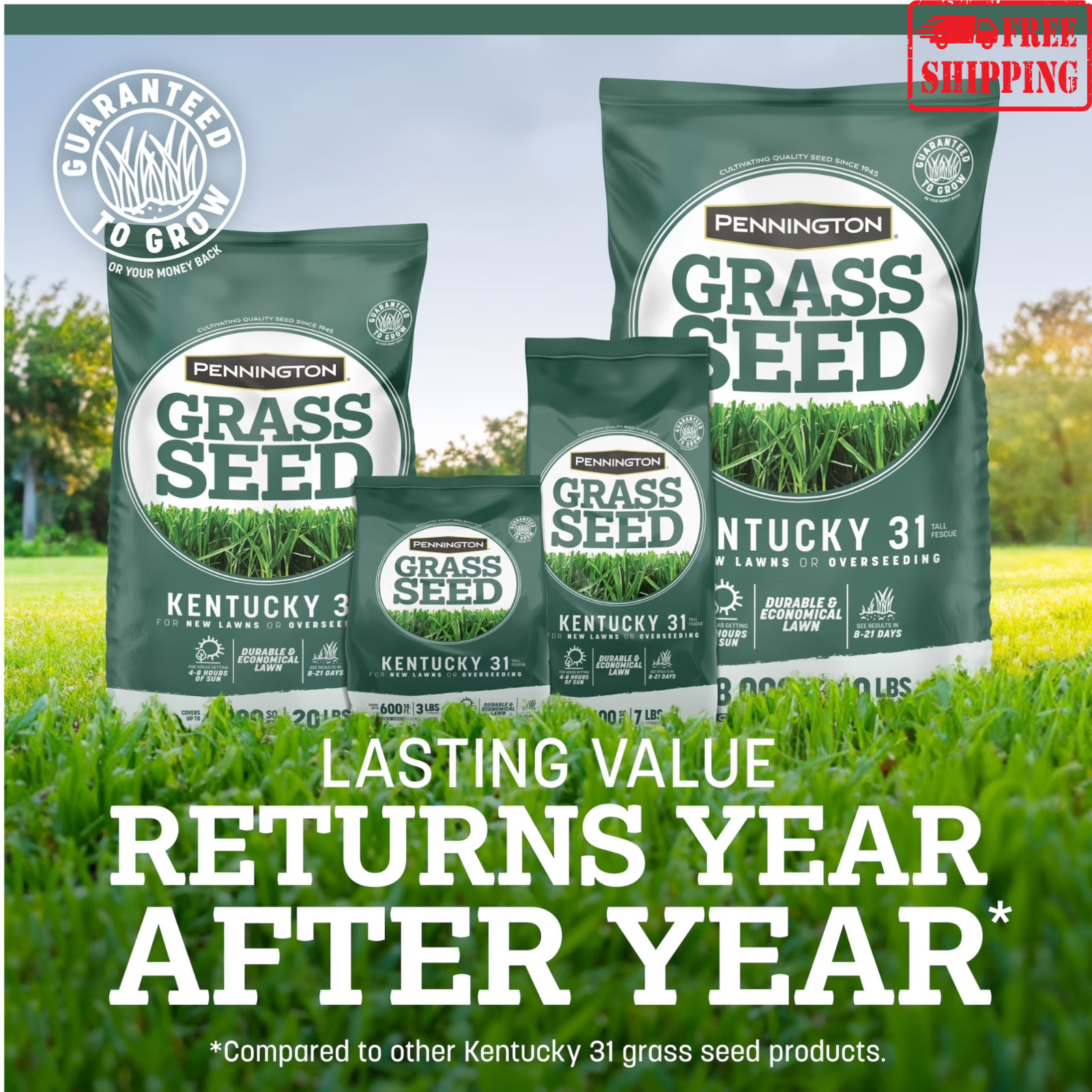 Pennington Kentucky 31 Tall Fescue Grass Seed 20 lb Sun Partial Shade Lawn