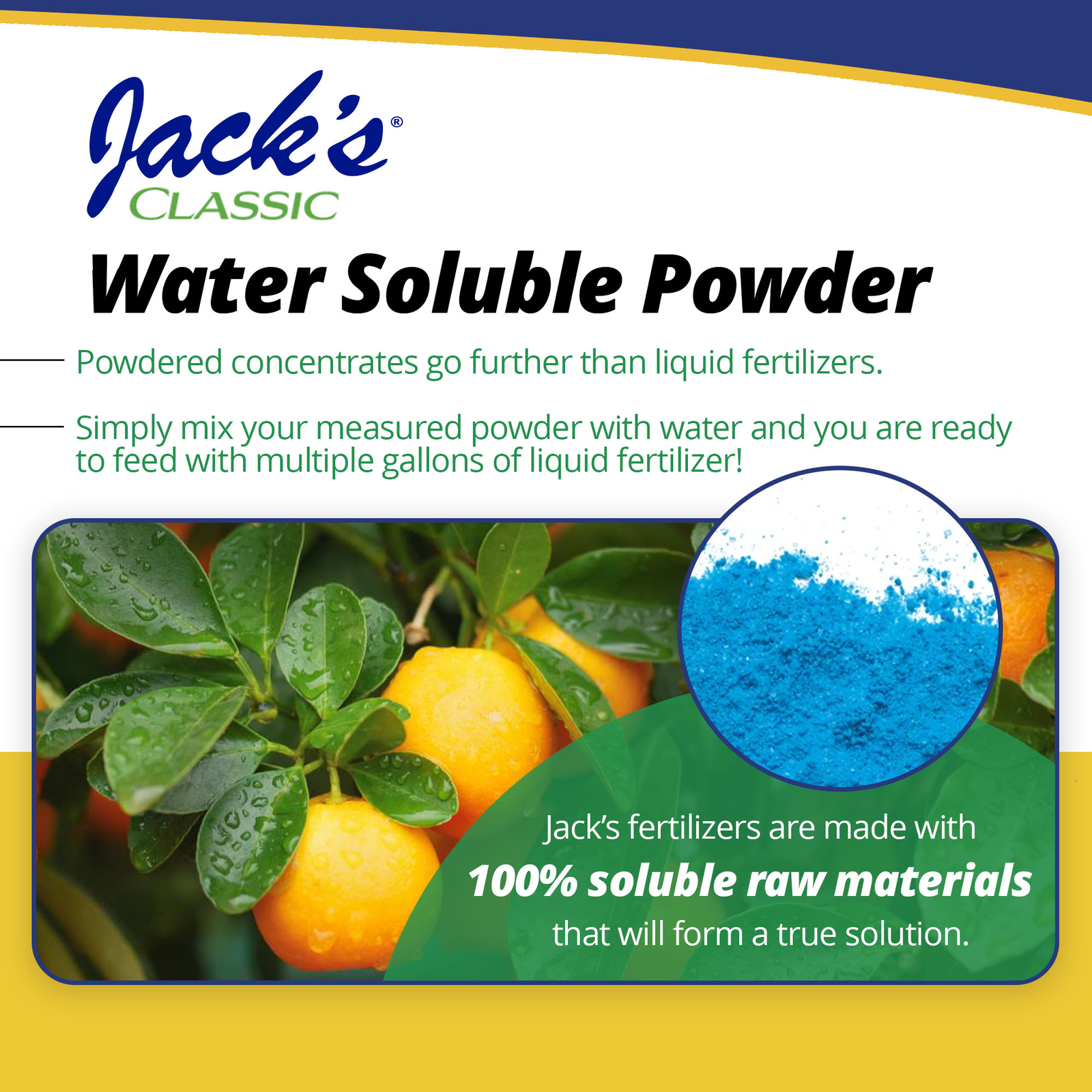 JR Peters (#52524) Jacks Classic No.1.5 20-10-20 Citrus Food Fertilizer – 4 Pack