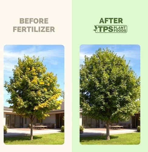 Maple Tree Fertilizer – Liquid Plant Food for Vibrant Color, Stronger Roots &…