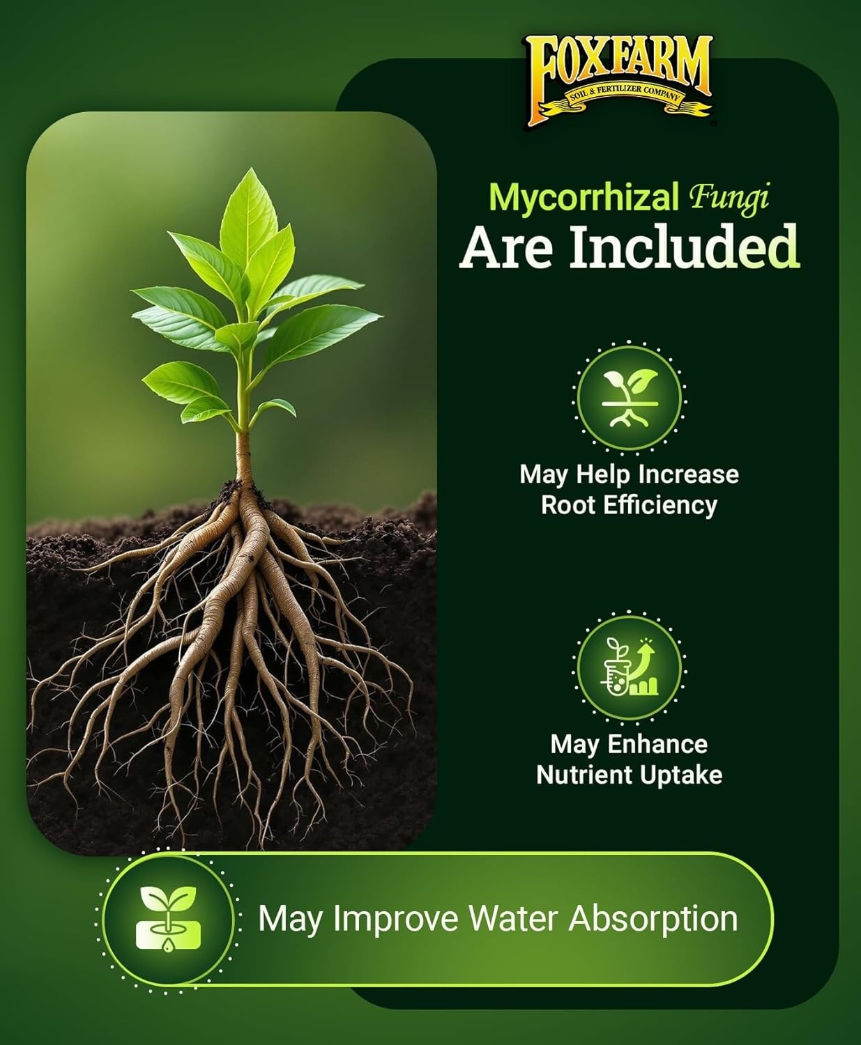 Happy Frog Tomato & Vegetable Fertilizer – Vegetable Fertilizer for Vigorous …