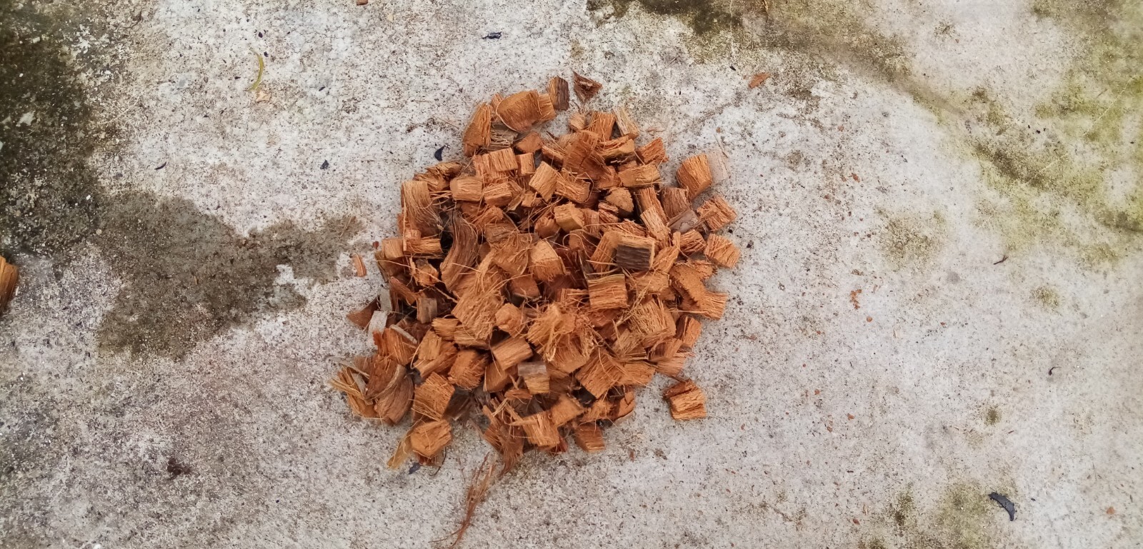 COCONUT HUSK Organic for Growing plants 100% Srilankan Organic Products