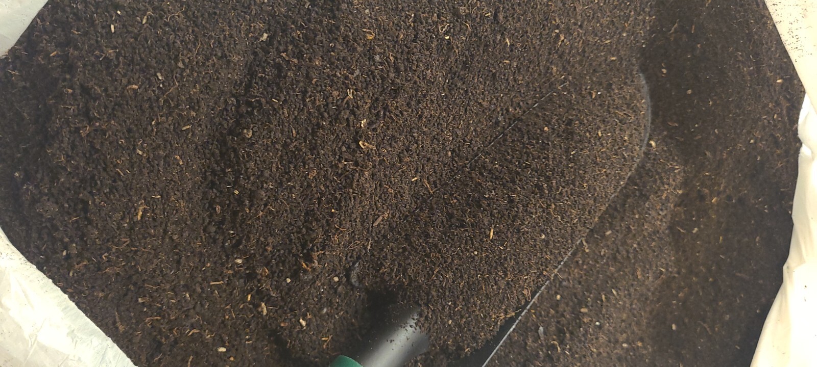Plant and Grow 100% worm castings. 