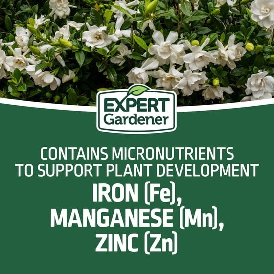 Evergreen Tree and Shrub Fertilizer Plant Food 16-4-8 NPK 4 lb 2 Pack