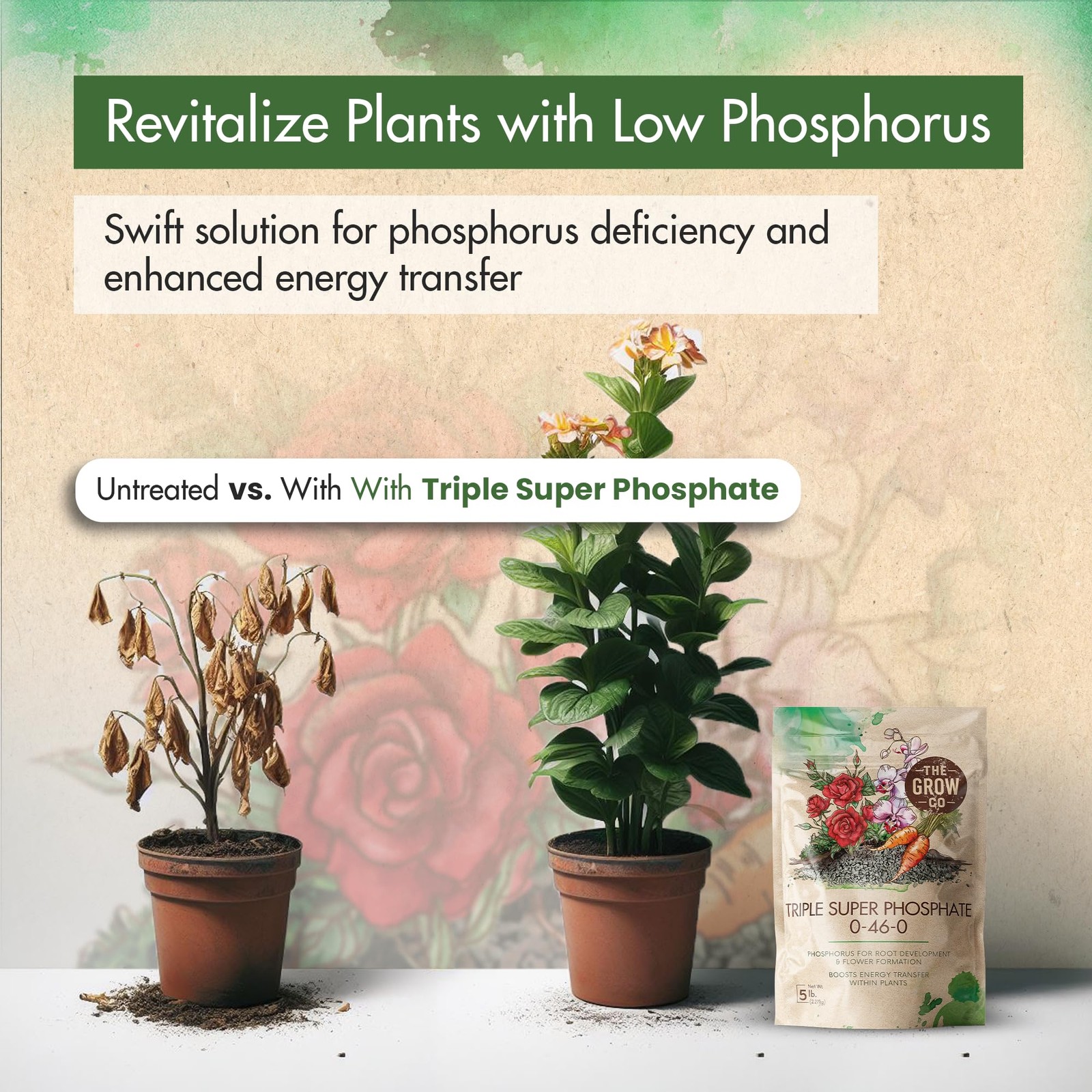 Triple Super Phosphate 0-46-0 Fertilizer, high Phosphorus Fertilizer Stronger…