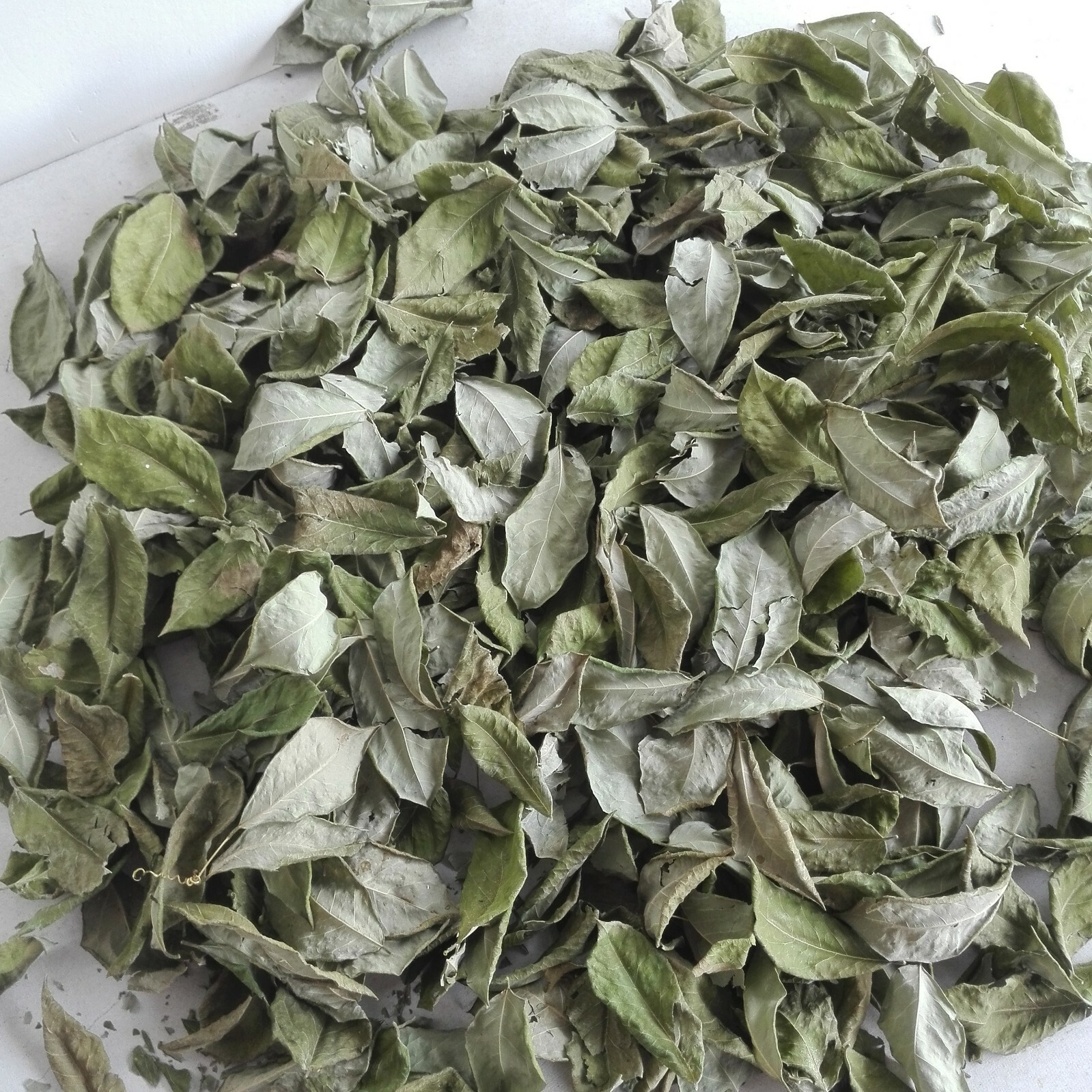 Dried Organic Gliricidia Sepium Leaves 200g Natural Compost Manure Fertilizer
