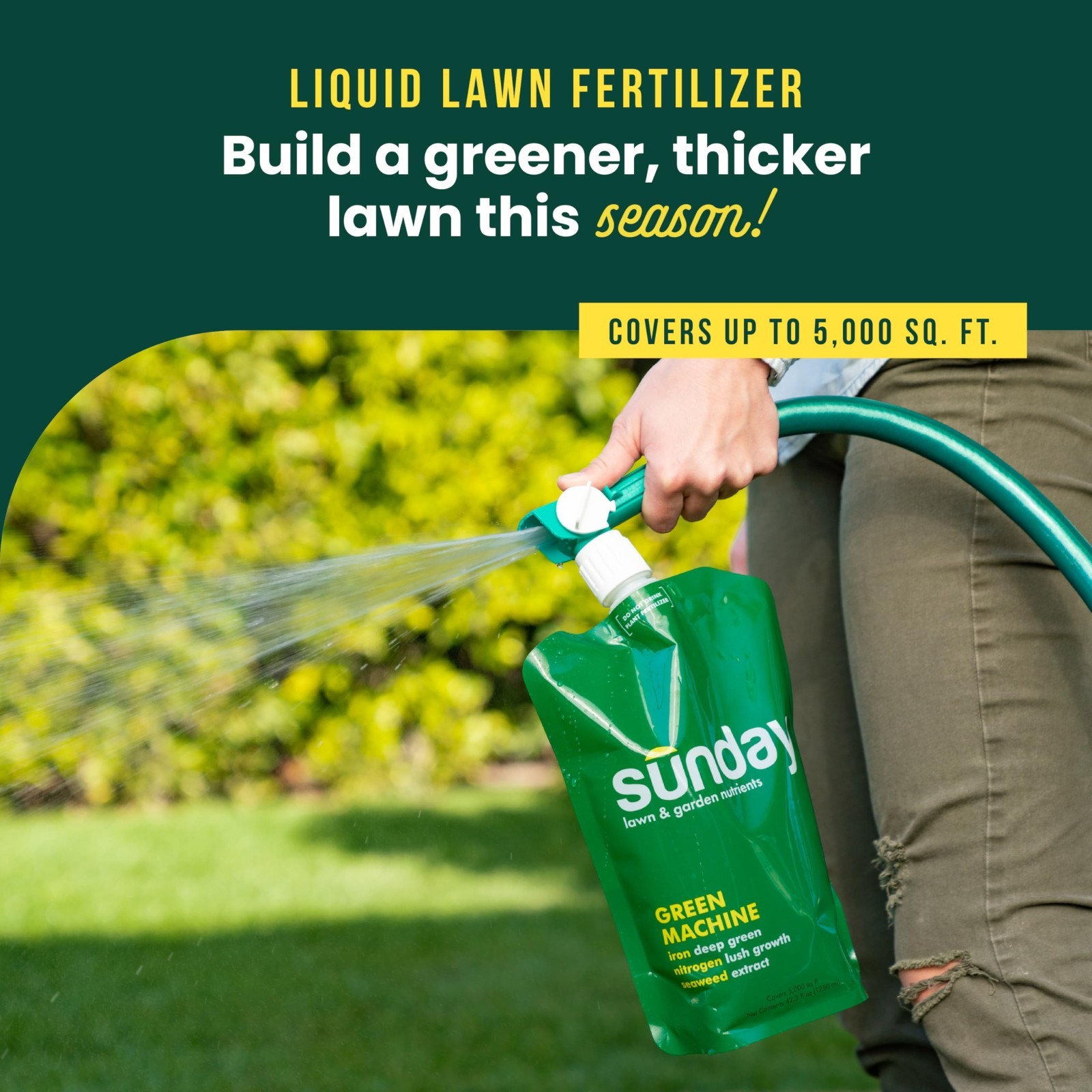 Liquid Lawn Fertilizer 2 Pack – 10,000 Sq Ft Coverage, Nitrogen & Seaweed, Lush