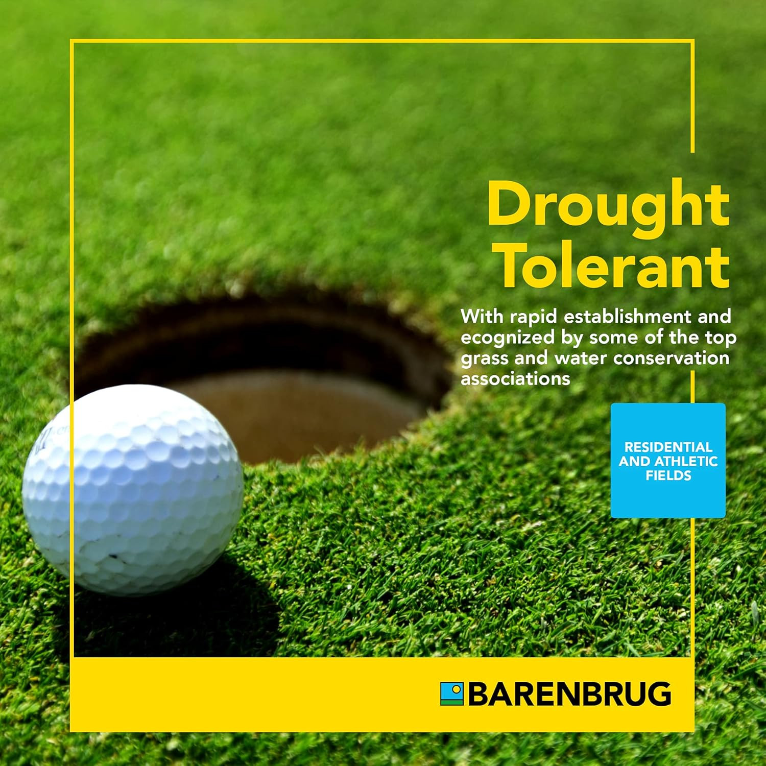 Barenbrug Turf Blue Pro Kentucky Bluegrass Lawn Seed with Yellow Jacket Seed Coa