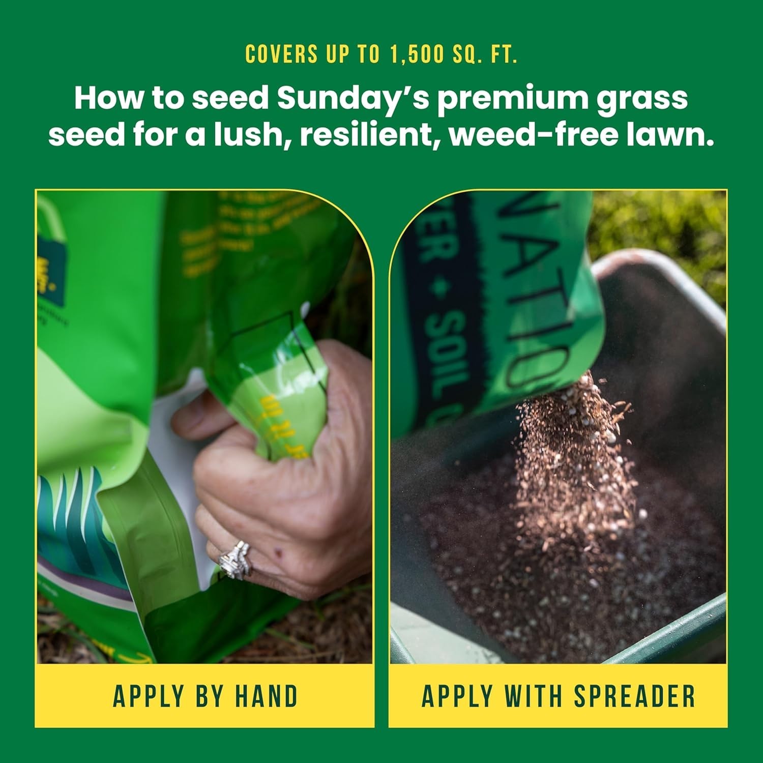 Heat Tolerant Seed + Feed – 3-in-1 Grass Seed, Fertilizer, & Soil Conditioner…