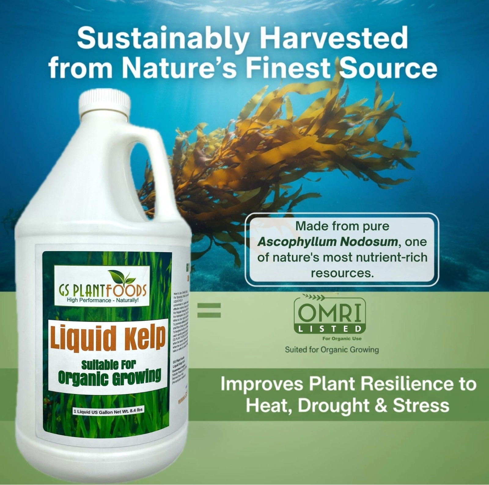 Organic Liquid Kelp Fertilizer – Seaweed Concentrate for Lawns & Gardens – 1 Gal